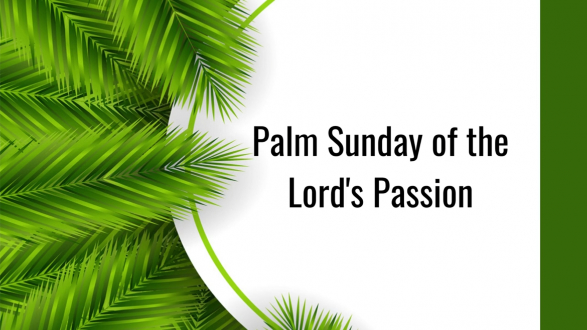Palm Sunday of the Lord’s Passion (C)