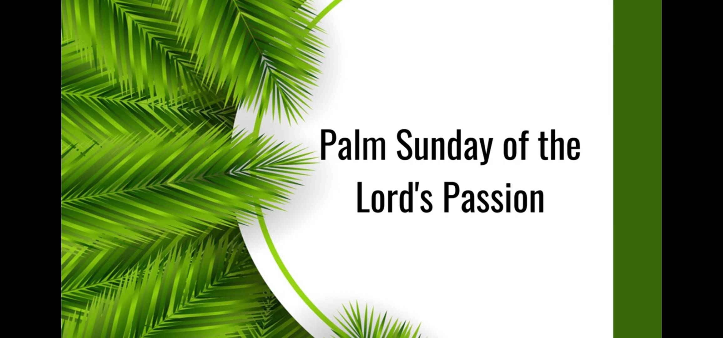 Palm Sunday Of The Lords Passion C Suore Dello Spirito Santo